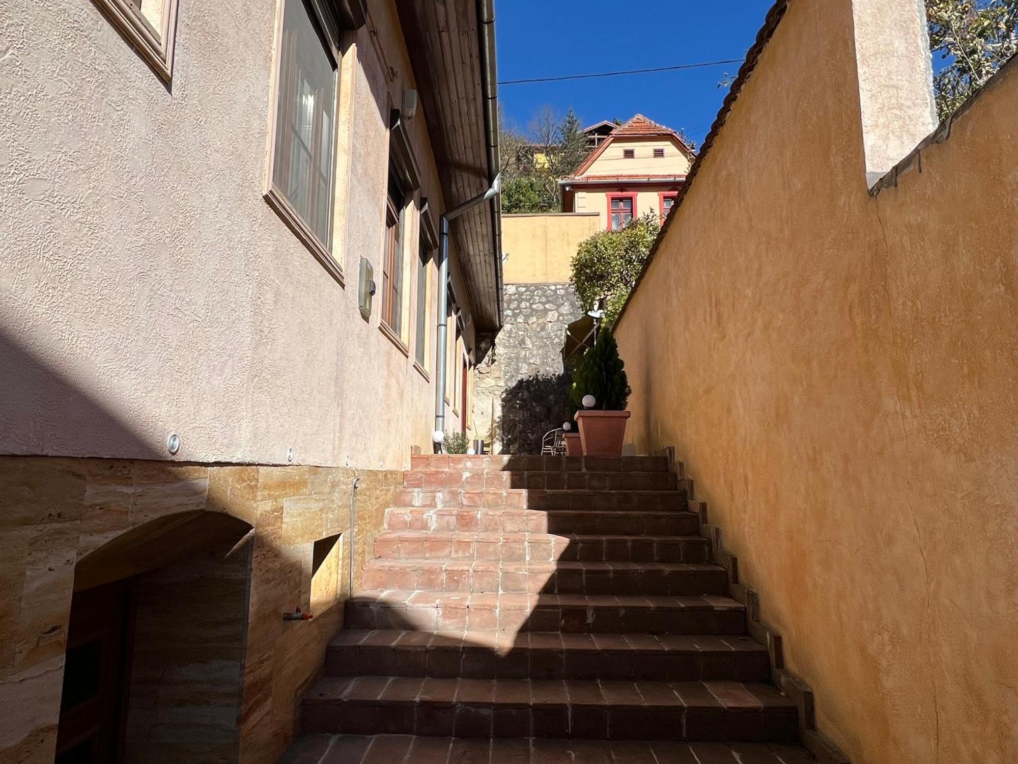 Villa Retro House Mountain View à Braşov Extérieur photo