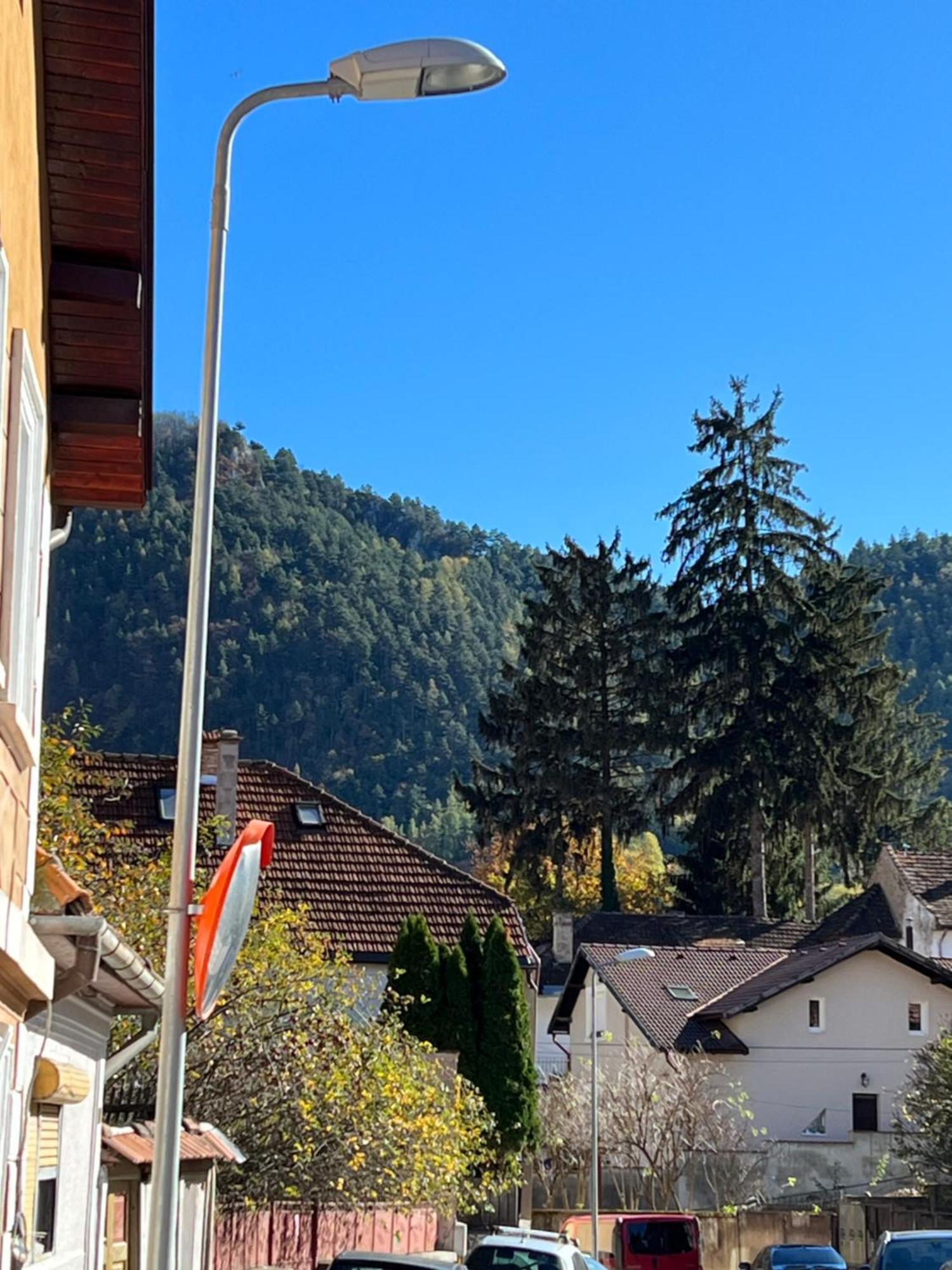 Villa Retro House Mountain View à Braşov Extérieur photo